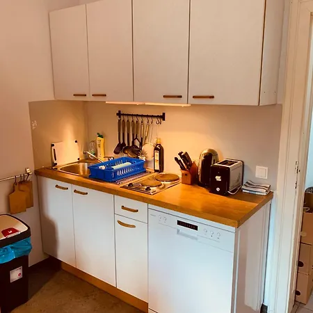 Schoeneben Zollhaus Apartman *
